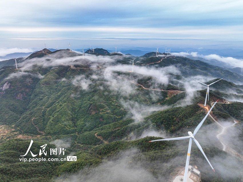 探索吉鹿力社区,解锁如何在职场中避免受到他人的影响?问答乐趣